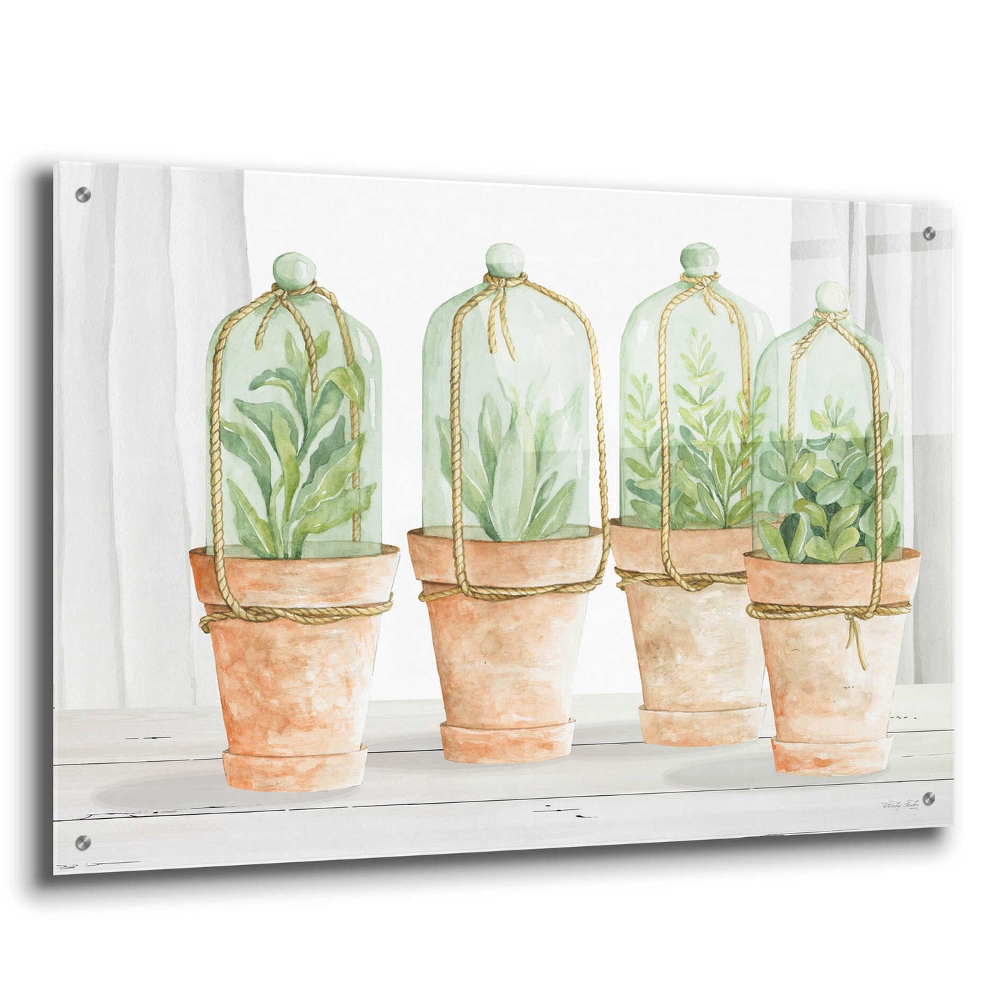 Epic Art 'Herb Collection' by Cindy Jacobs, Acrylic Glass Wall Art,36x24