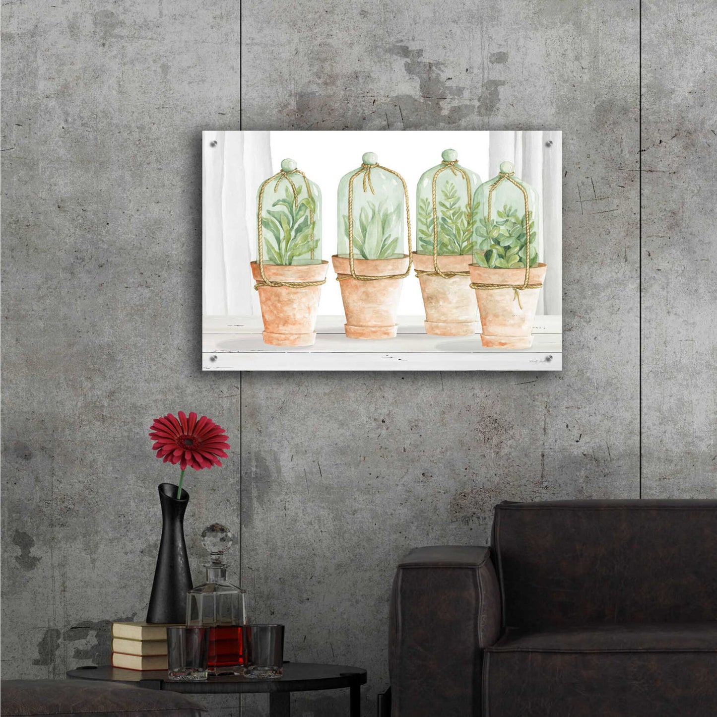 Epic Art 'Herb Collection' by Cindy Jacobs, Acrylic Glass Wall Art,36x24