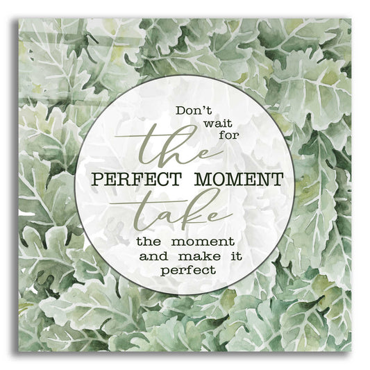 Epic Art 'Perfect Moment' by Cindy Jacobs, Acrylic Glass Wall Art