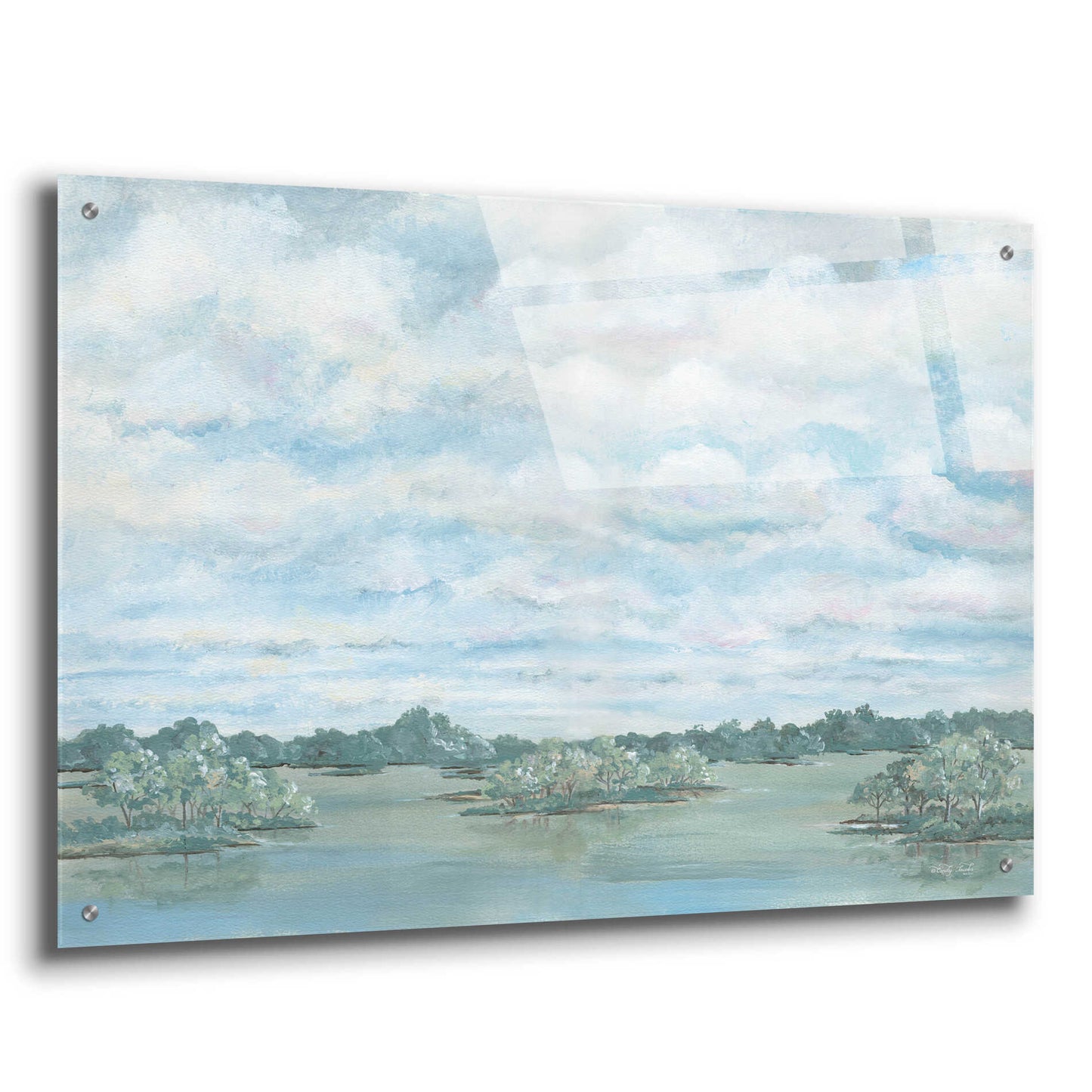 Epic Art 'Platte River' by Cindy Jacobs, Acrylic Glass Wall Art,36x24