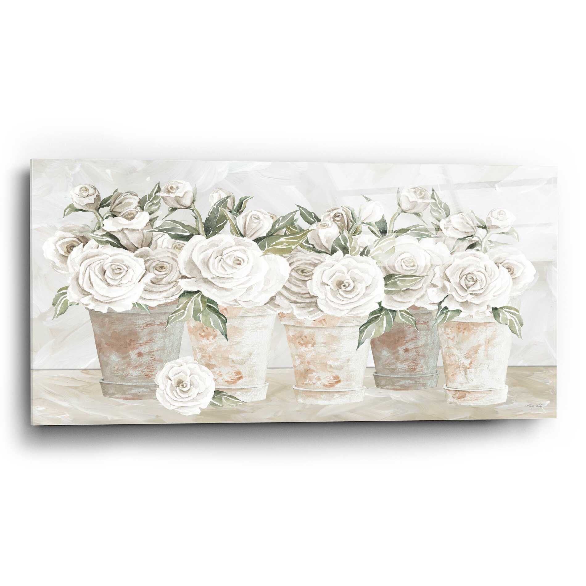 Epic Art 'Potted Roses' by Cindy Jacobs, Acrylic Glass Wall Art,24x12