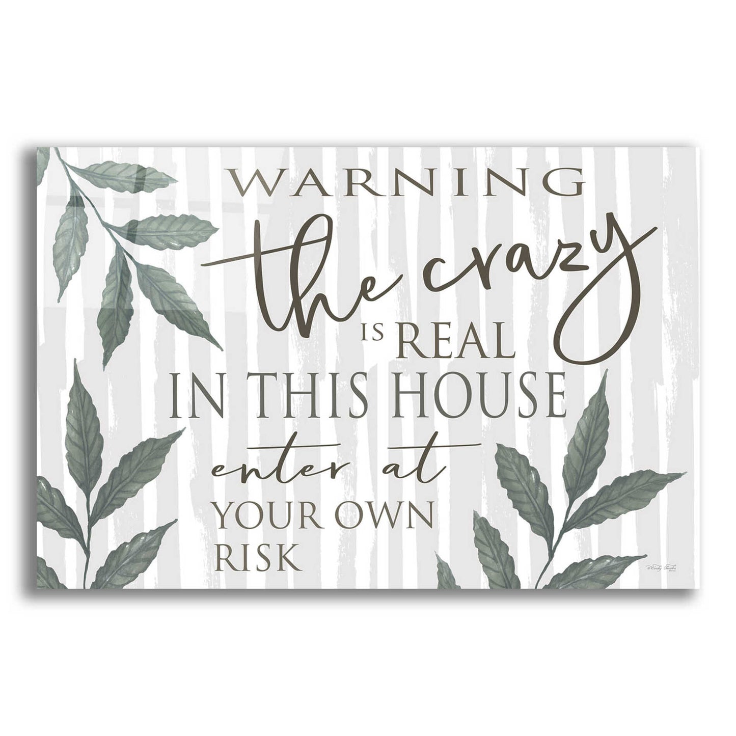 Epic Art 'The Crazy Is Real' by Cindy Jacobs, Acrylic Glass Wall Art,16x12