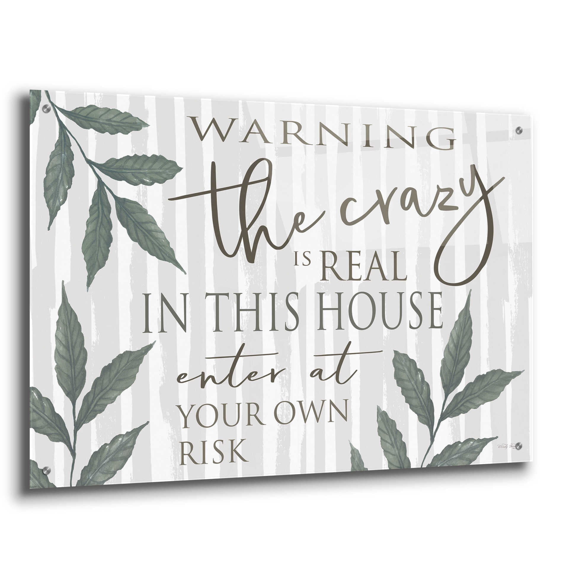 Epic Art 'The Crazy Is Real' by Cindy Jacobs, Acrylic Glass Wall Art,36x24