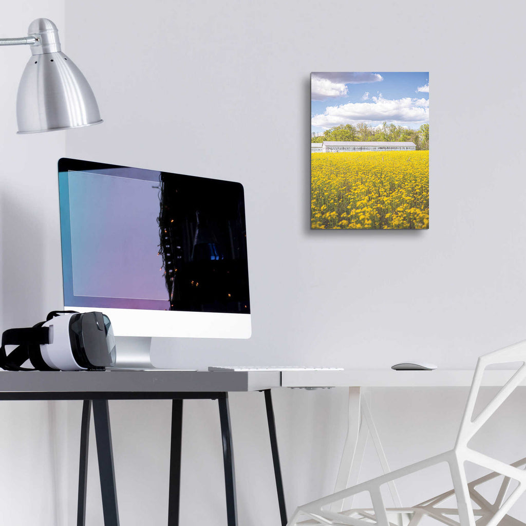 Epic Art 'Field Of Yellow I' by Donnie Quillen, Acrylic Glass Wall Art,12x16