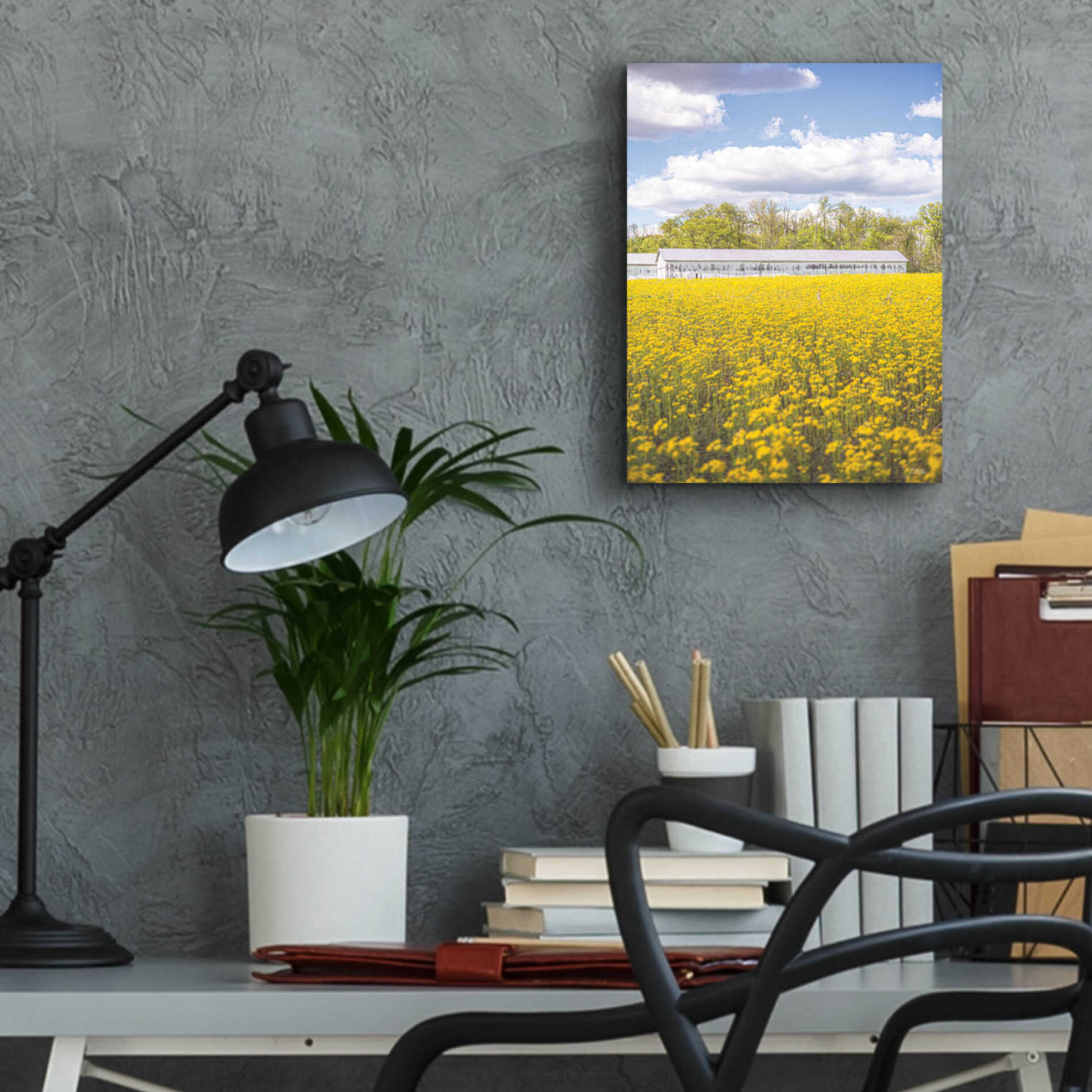 Epic Art 'Field Of Yellow I' by Donnie Quillen, Acrylic Glass Wall Art,12x16