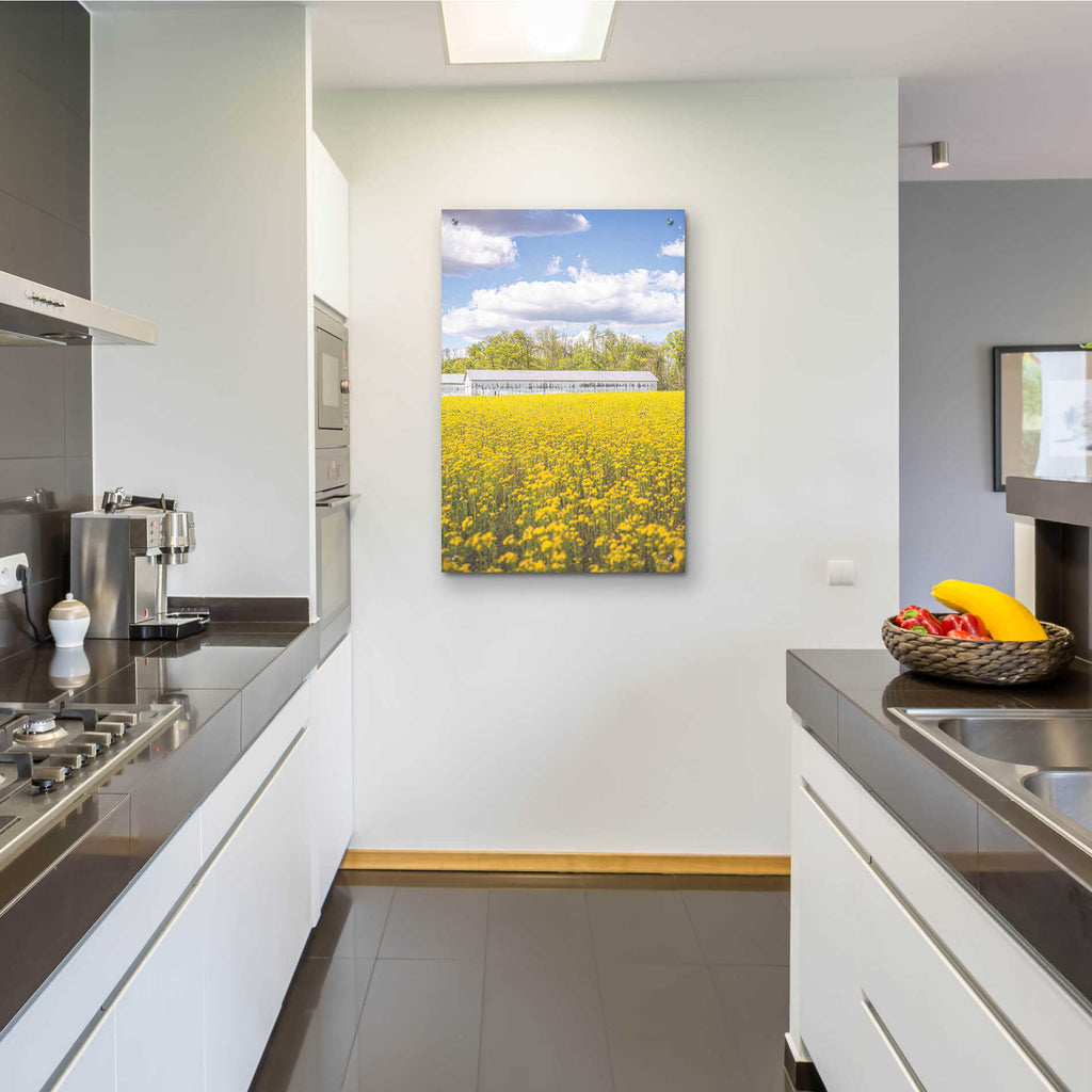 Epic Art 'Field Of Yellow I' by Donnie Quillen, Acrylic Glass Wall Art,24x36