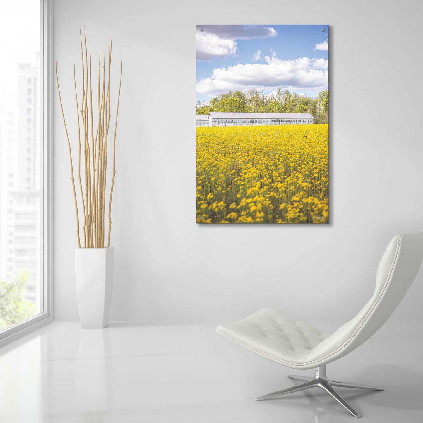 Epic Art 'Field Of Yellow I' by Donnie Quillen, Acrylic Glass Wall Art,24x36