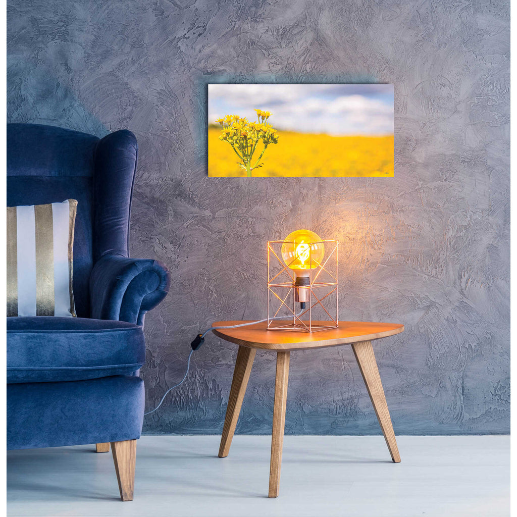 Epic Art 'Field Of Yellow II' by Donnie Quillen, Acrylic Glass Wall Art,24x12