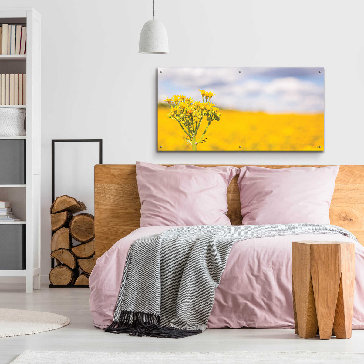 Epic Art 'Field Of Yellow II' by Donnie Quillen, Acrylic Glass Wall Art,48x24