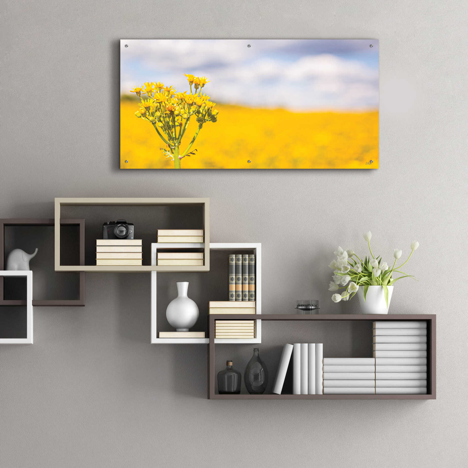 Epic Art 'Field Of Yellow II' by Donnie Quillen, Acrylic Glass Wall Art,48x24