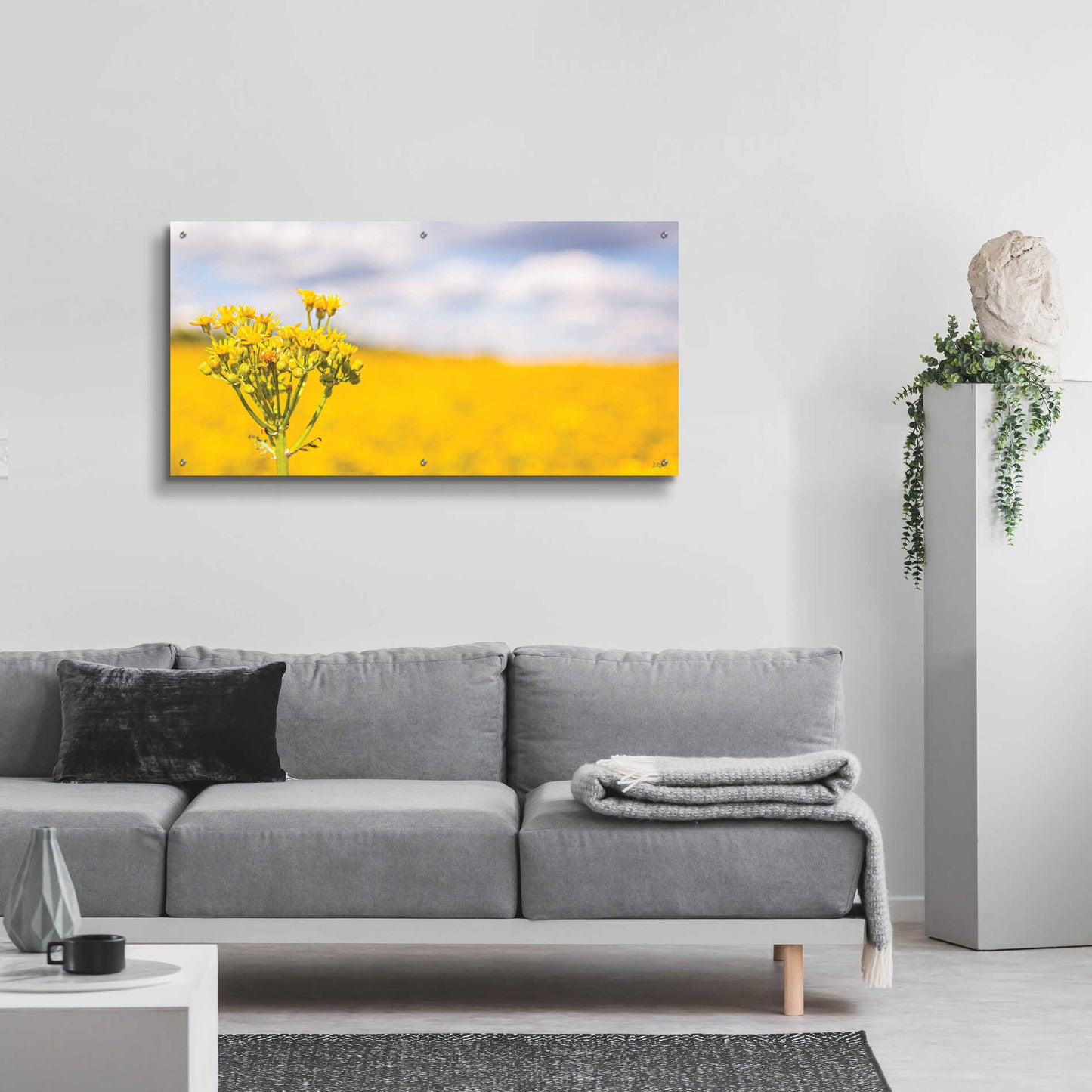 Epic Art 'Field Of Yellow II' by Donnie Quillen, Acrylic Glass Wall Art,48x24