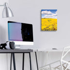 Epic Art 'Field Of Yellow III' by Donnie Quillen, Acrylic Glass Wall Art,12x16
