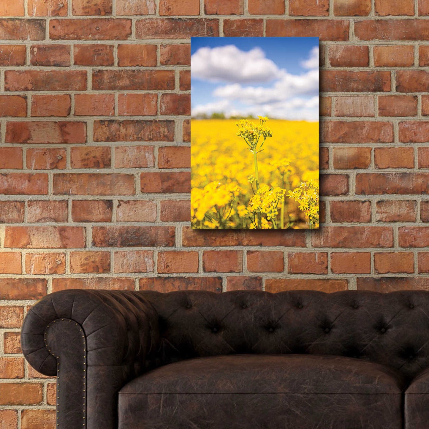 Epic Art 'Field Of Yellow III' by Donnie Quillen, Acrylic Glass Wall Art,16x24