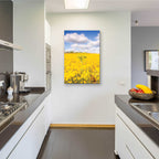 Epic Art 'Field Of Yellow III' by Donnie Quillen, Acrylic Glass Wall Art,24x36