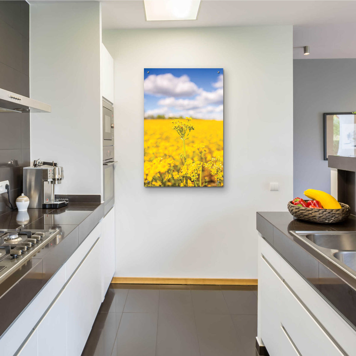 Epic Art 'Field Of Yellow III' by Donnie Quillen, Acrylic Glass Wall Art,24x36