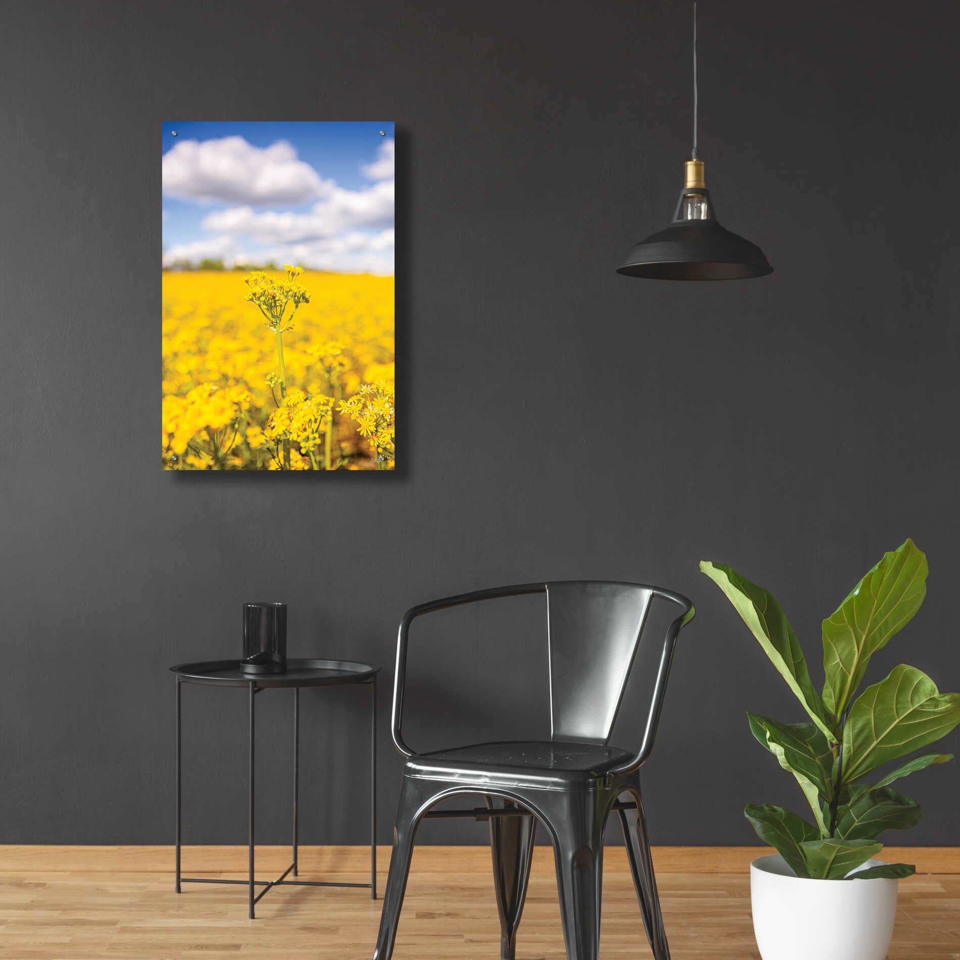 Epic Art 'Field Of Yellow III' by Donnie Quillen, Acrylic Glass Wall Art,24x36