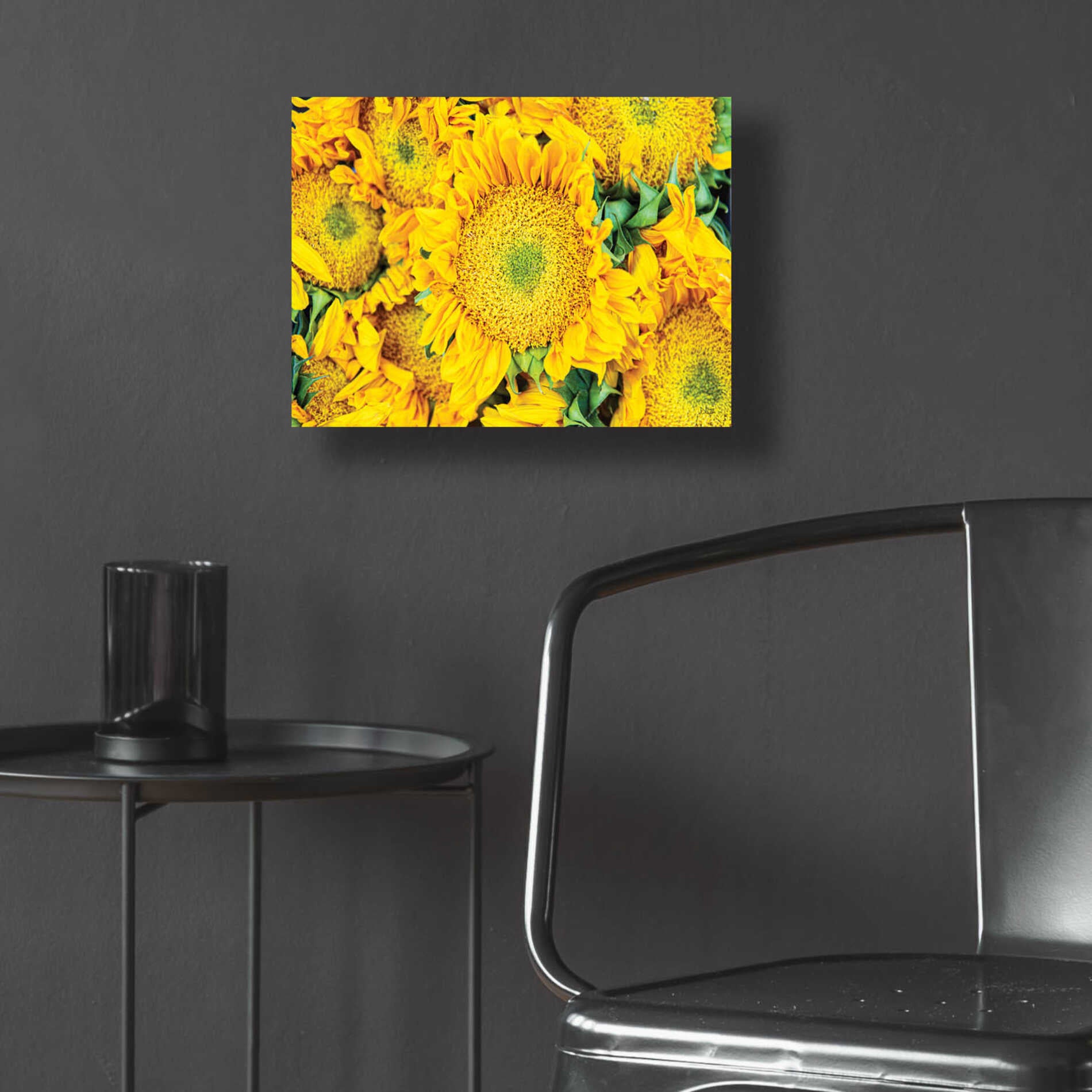 Epic Art 'Sunflower Summer' by Donnie Quillen, Acrylic Glass Wall Art,16x12