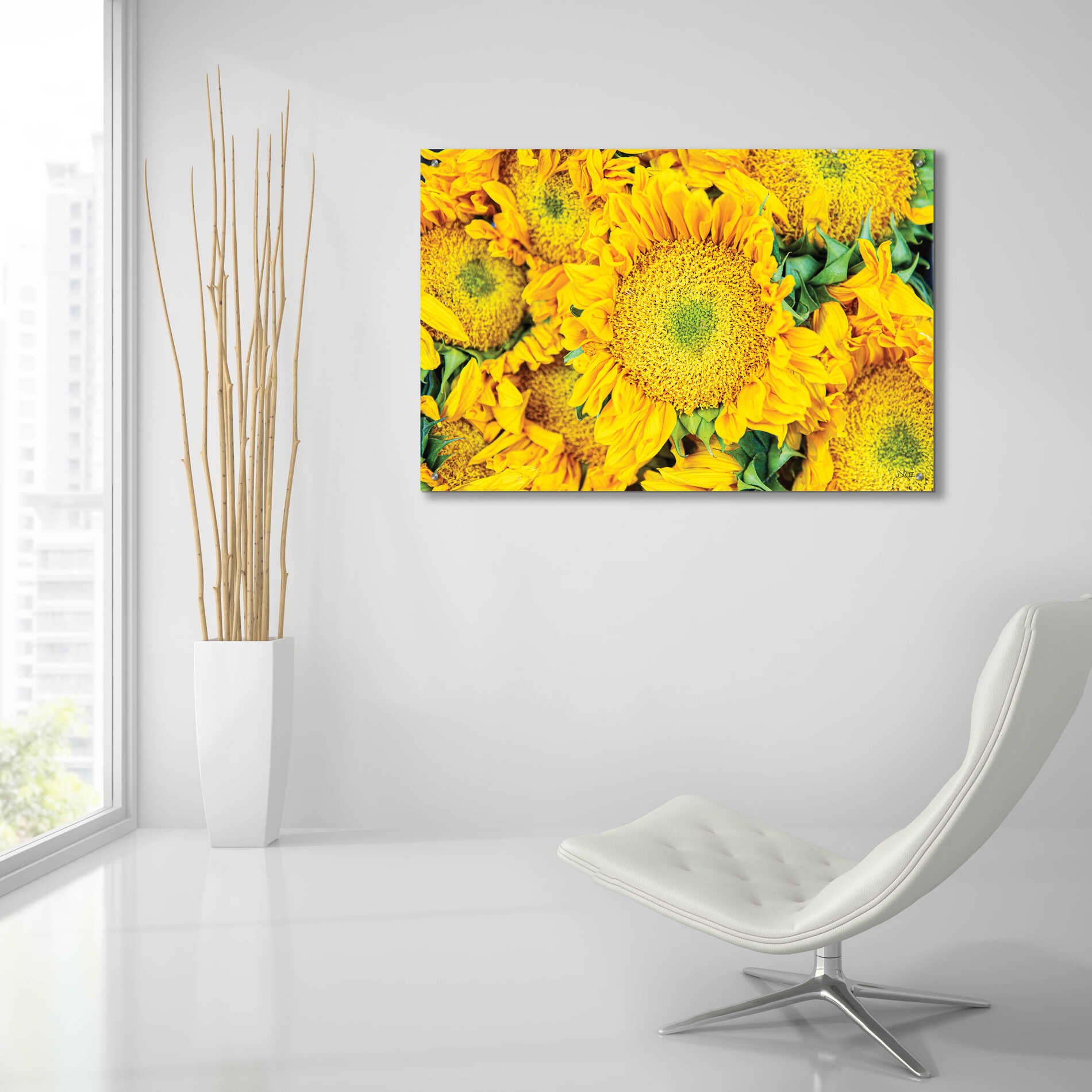 Epic Art 'Sunflower Summer' by Donnie Quillen, Acrylic Glass Wall Art,36x24