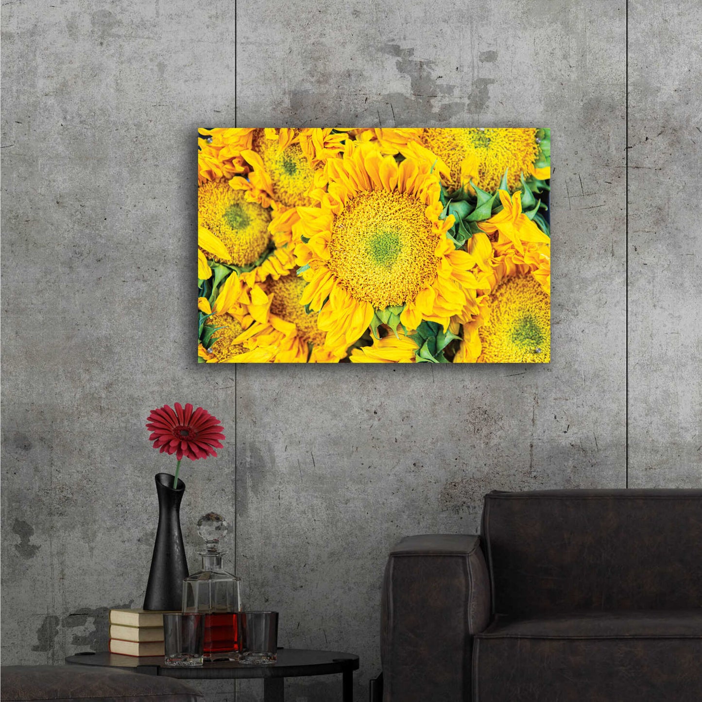 Epic Art 'Sunflower Summer' by Donnie Quillen, Acrylic Glass Wall Art,36x24