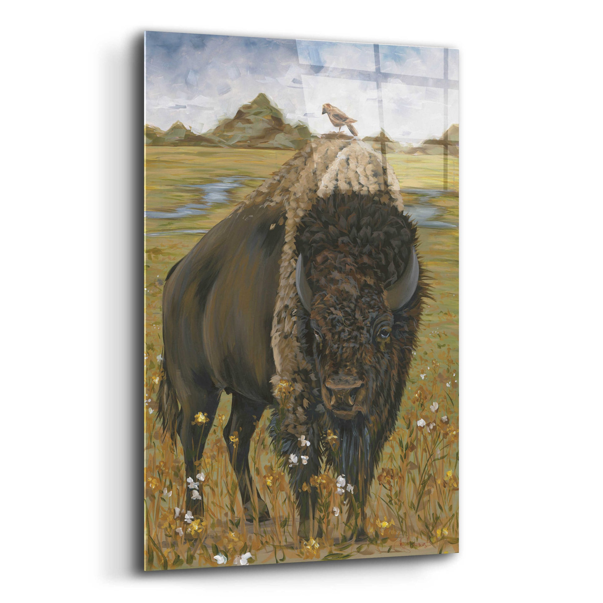 Epic Art 'Bison' by Hollihocks Art, Acrylic Glass Wall Art,12x16