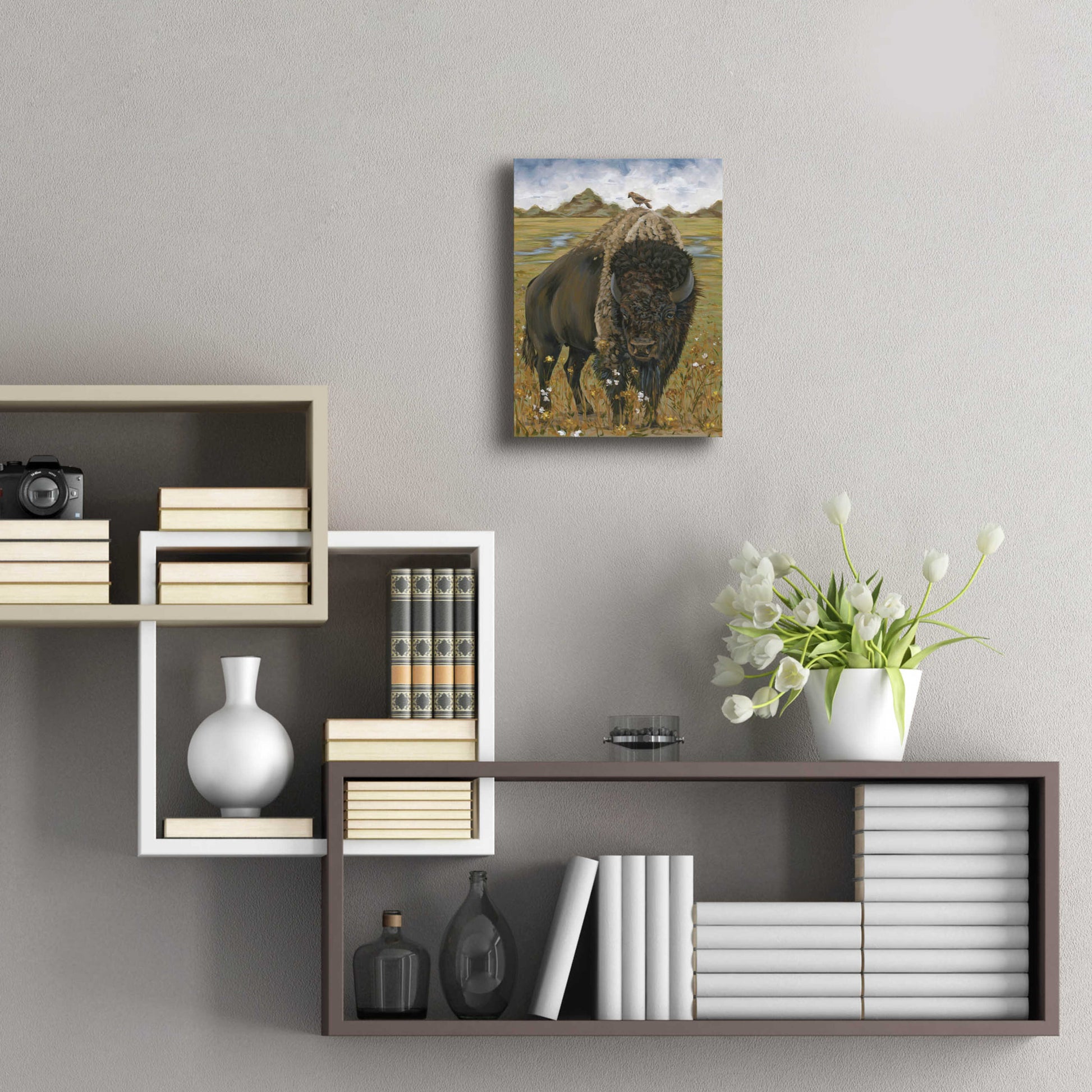 Epic Art 'Bison' by Hollihocks Art, Acrylic Glass Wall Art,12x16