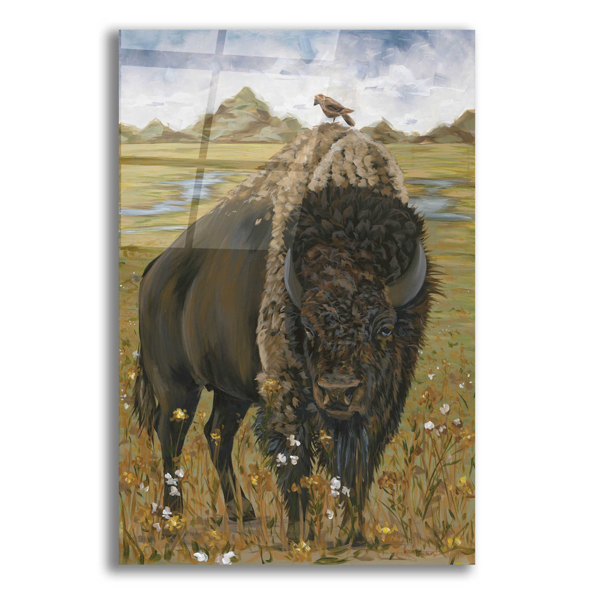 Epic Art 'Bison' by Hollihocks Art, Acrylic Glass Wall Art,12x16