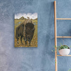 Epic Art 'Bison' by Hollihocks Art, Acrylic Glass Wall Art,16x24