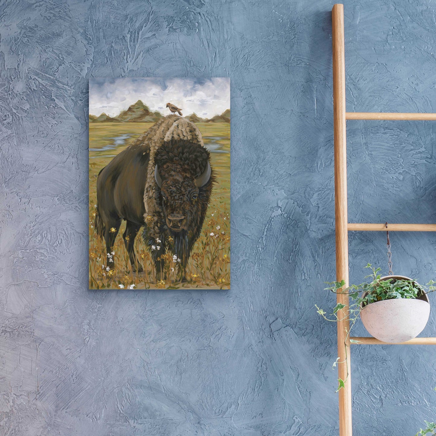 Epic Art 'Bison' by Hollihocks Art, Acrylic Glass Wall Art,16x24