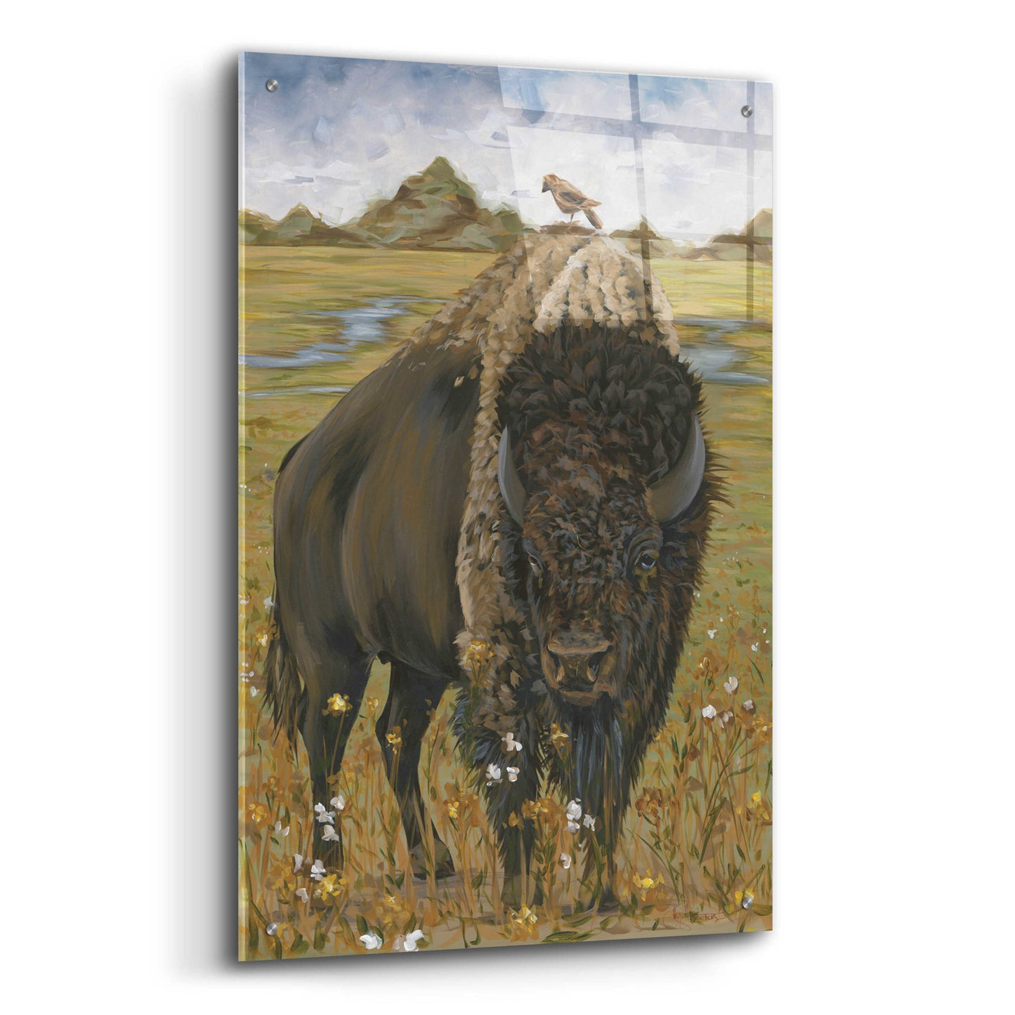 Epic Art 'Bison' by Hollihocks Art, Acrylic Glass Wall Art,24x36