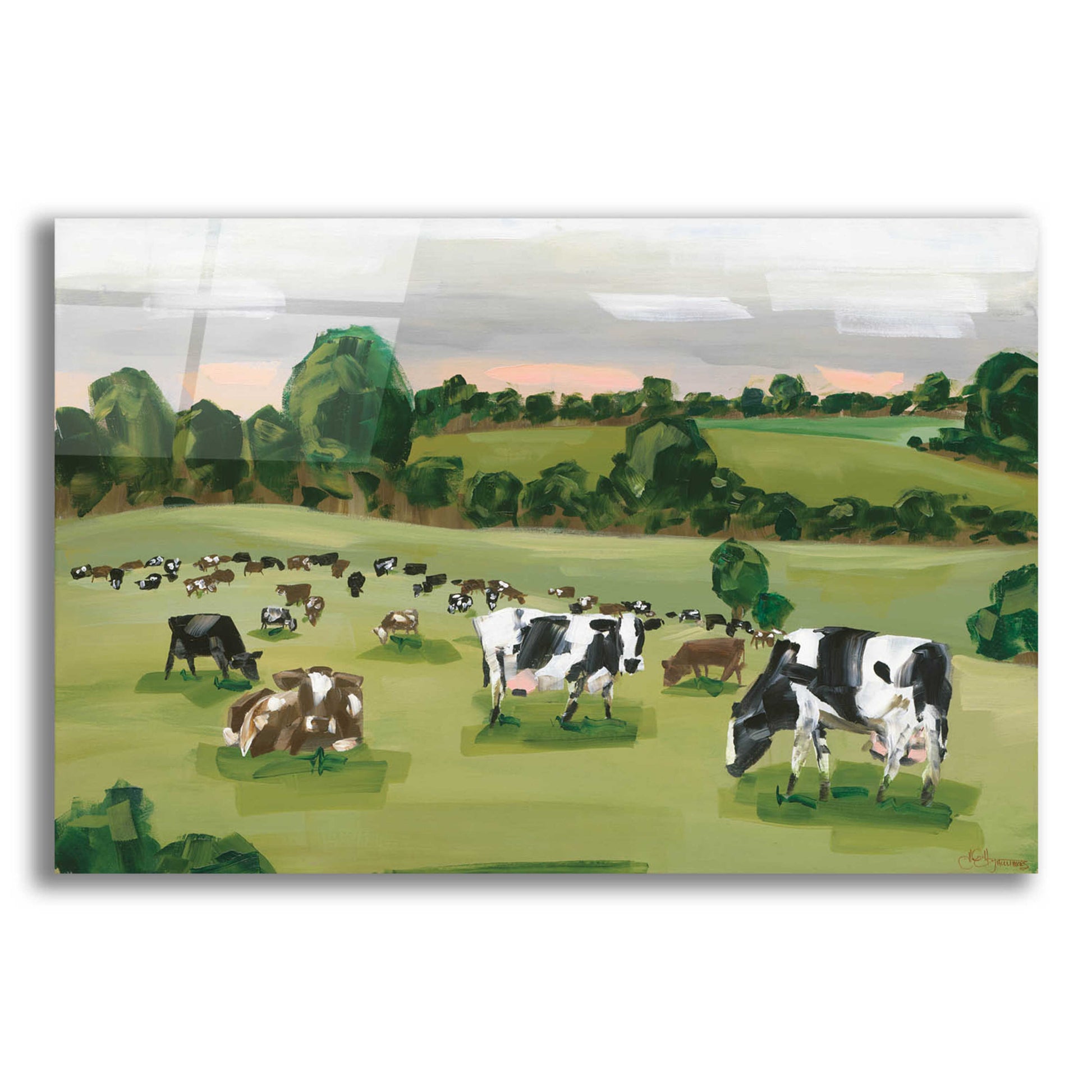 Epic Art 'Abstract Field Of Cows' by Hollihocks Art, Acrylic Glass Wall Art,16x12