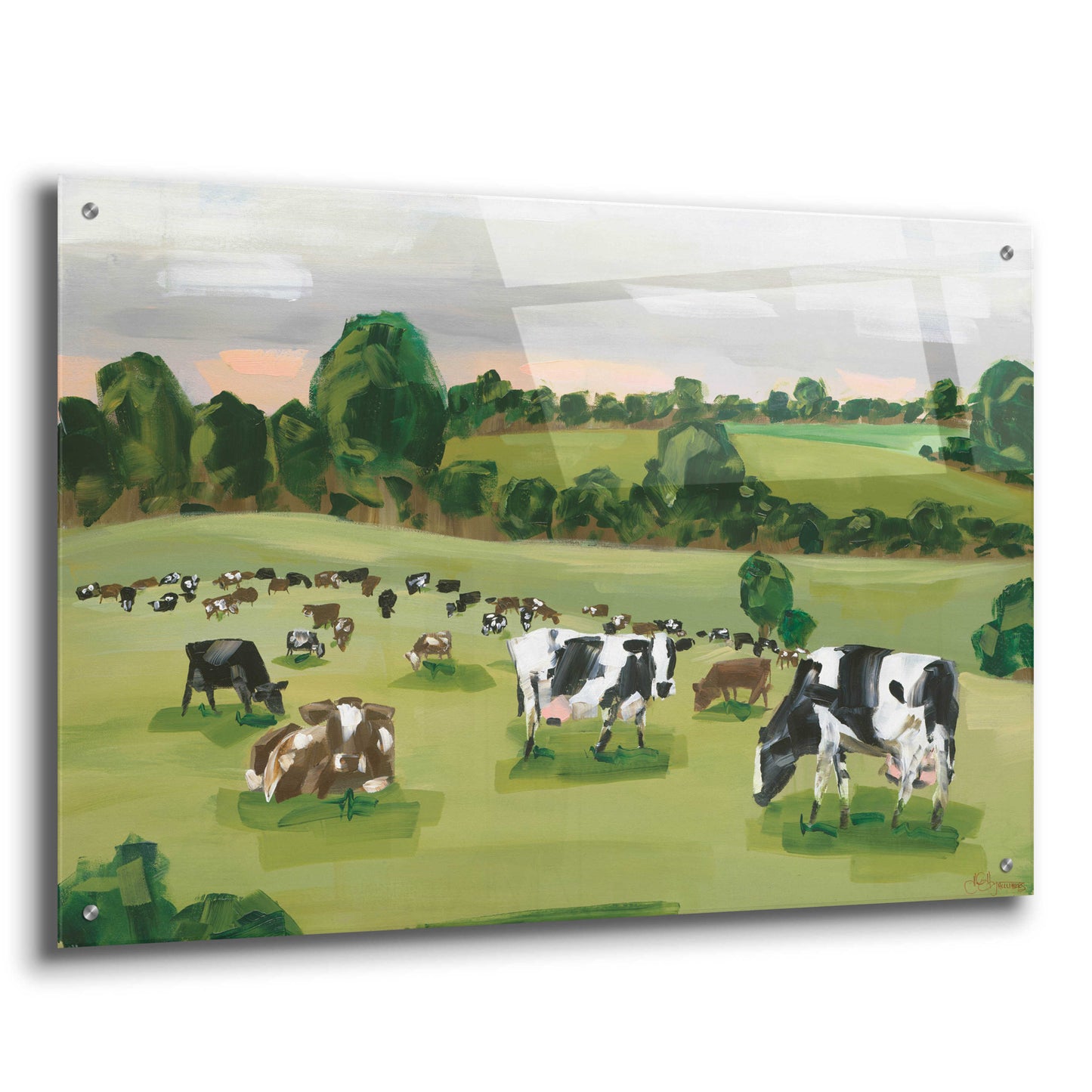 Epic Art 'Abstract Field Of Cows' by Hollihocks Art, Acrylic Glass Wall Art,36x24