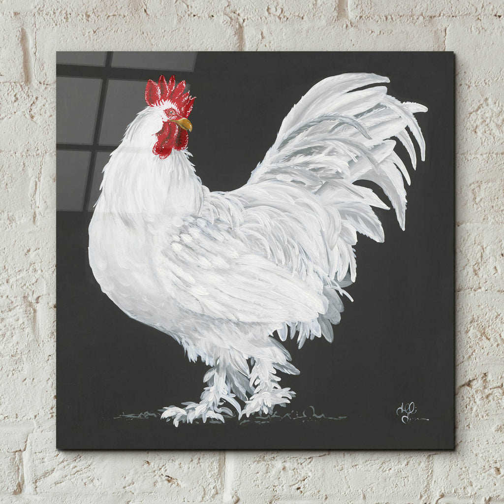 Epic Art 'Rooster' by Hollihocks Art, Acrylic Glass Wall Art,12x12