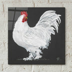 Epic Art 'Rooster' by Hollihocks Art, Acrylic Glass Wall Art,12x12