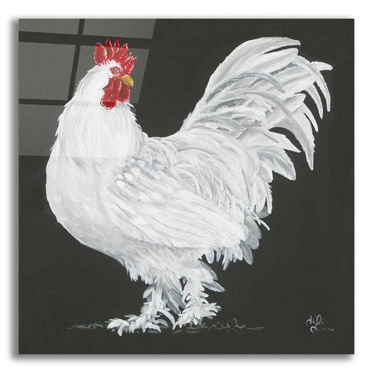 Epic Art 'Rooster' by Hollihocks Art, Acrylic Glass Wall Art