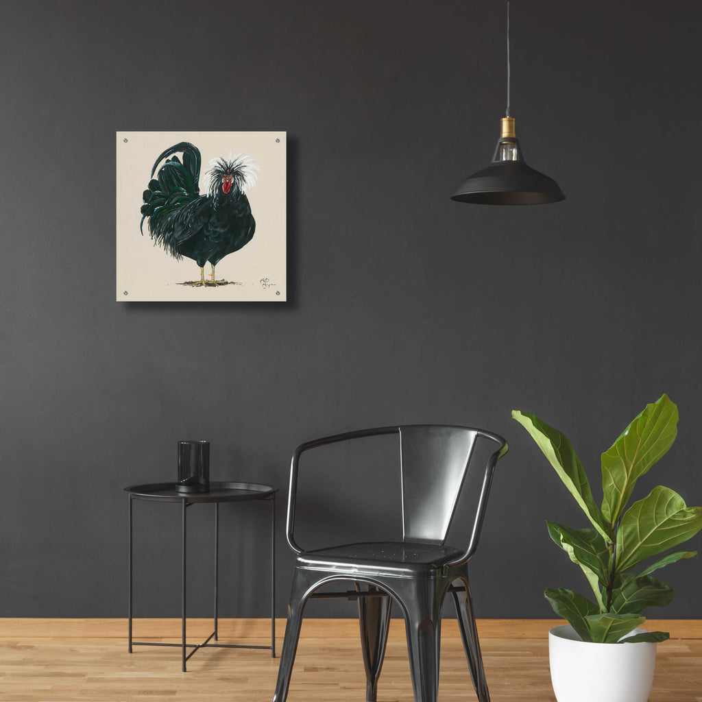 Epic Art 'Chicken' by Hollihocks Art, Acrylic Glass Wall Art,24x24
