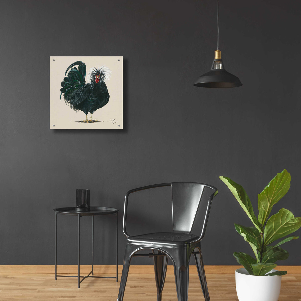 Epic Art 'Chicken' by Hollihocks Art, Acrylic Glass Wall Art,24x24