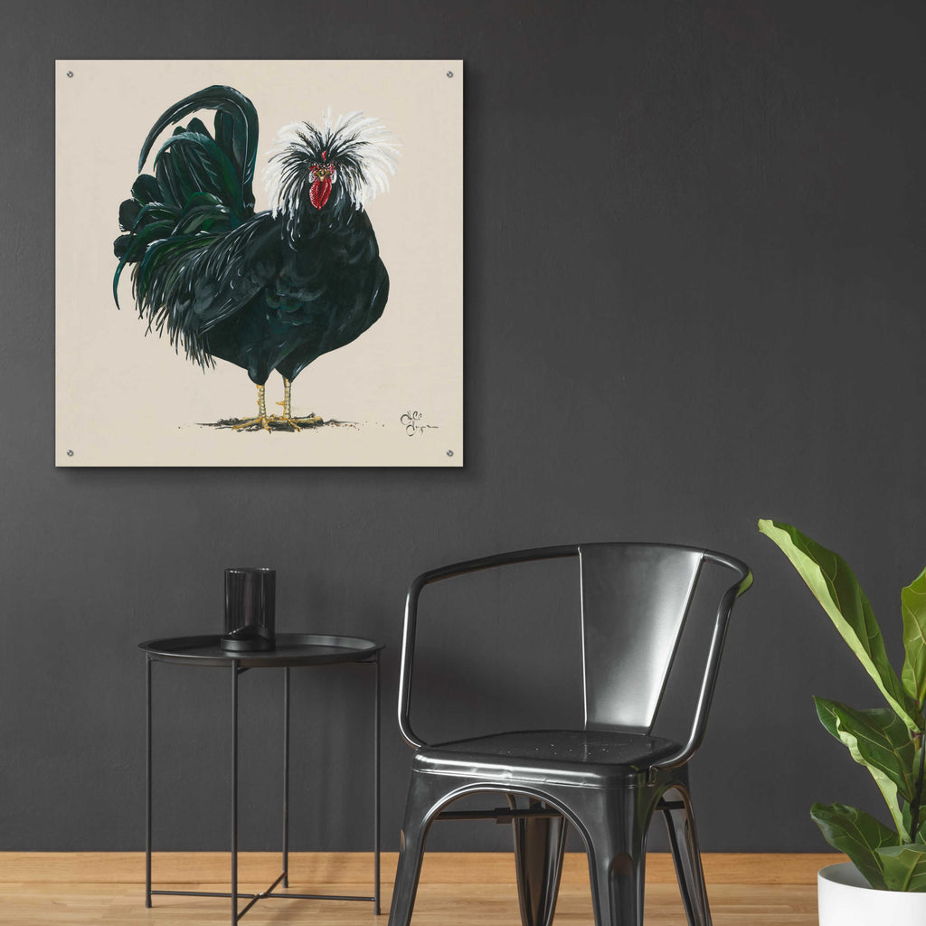 Epic Art 'Chicken' by Hollihocks Art, Acrylic Glass Wall Art,36x36