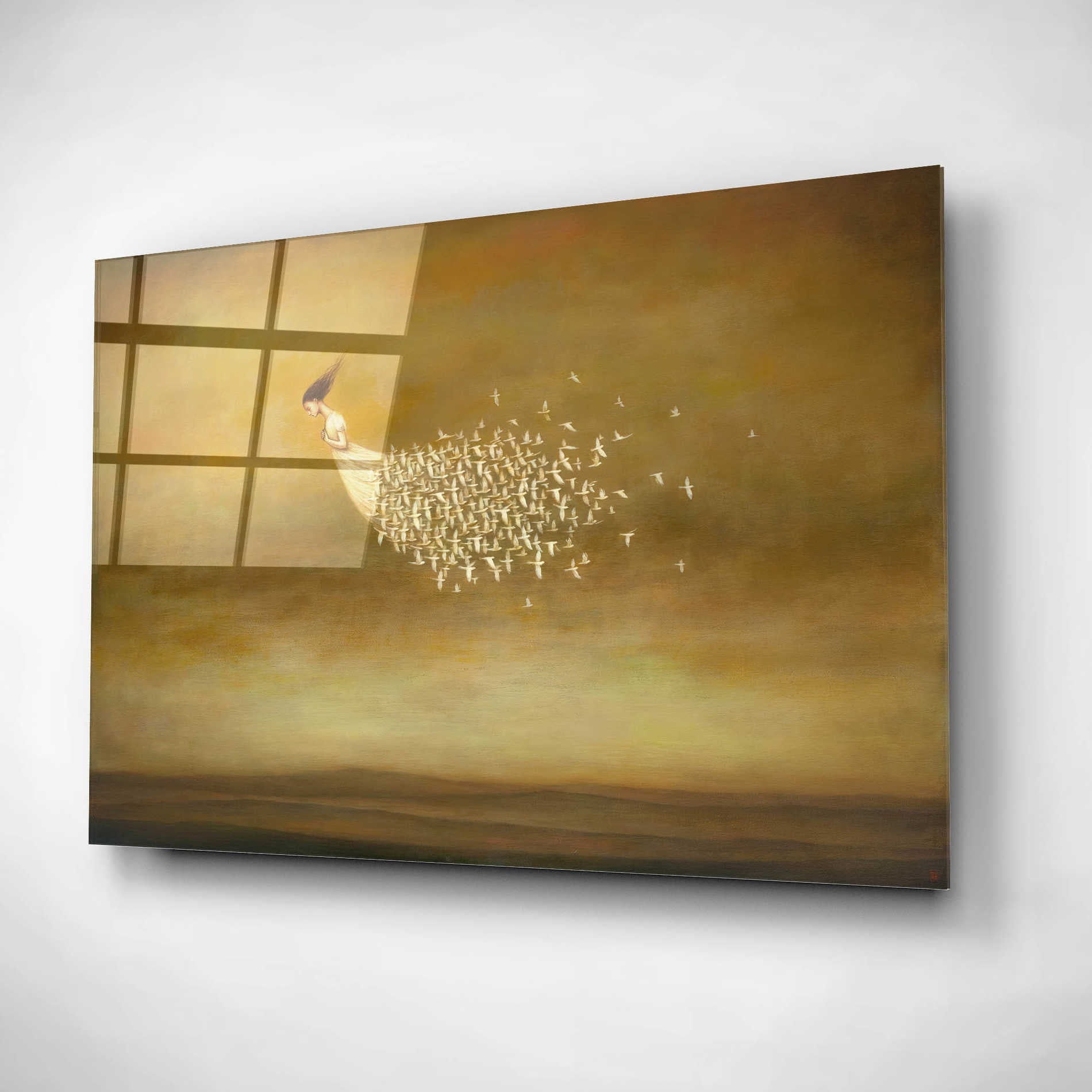 Epic Art 'Freeform' by Duy Huynh, Acrylic Glass Wall Art,24x16