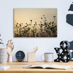 Epic Art 'Sunset Lace' by Lori Deiter, Acrylic Glass Wall Art,16x12