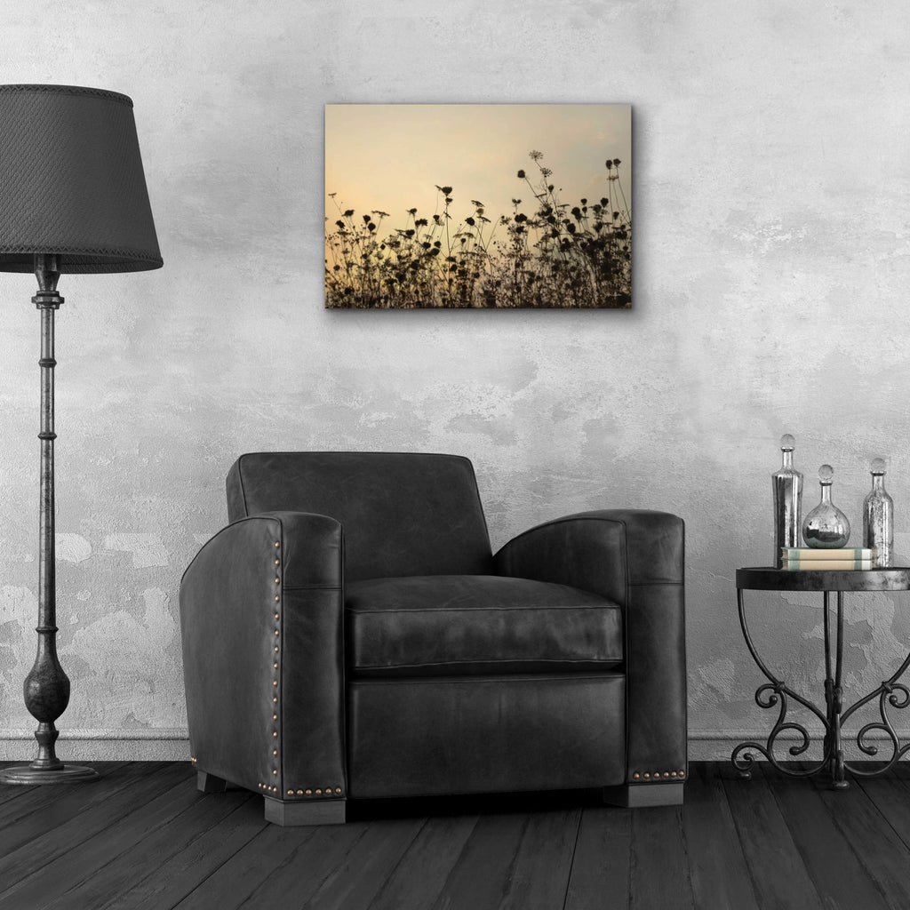 Epic Art 'Sunset Lace' by Lori Deiter, Acrylic Glass Wall Art,24x16