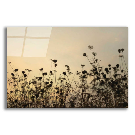 Epic Art 'Sunset Lace' by Lori Deiter, Acrylic Glass Wall Art