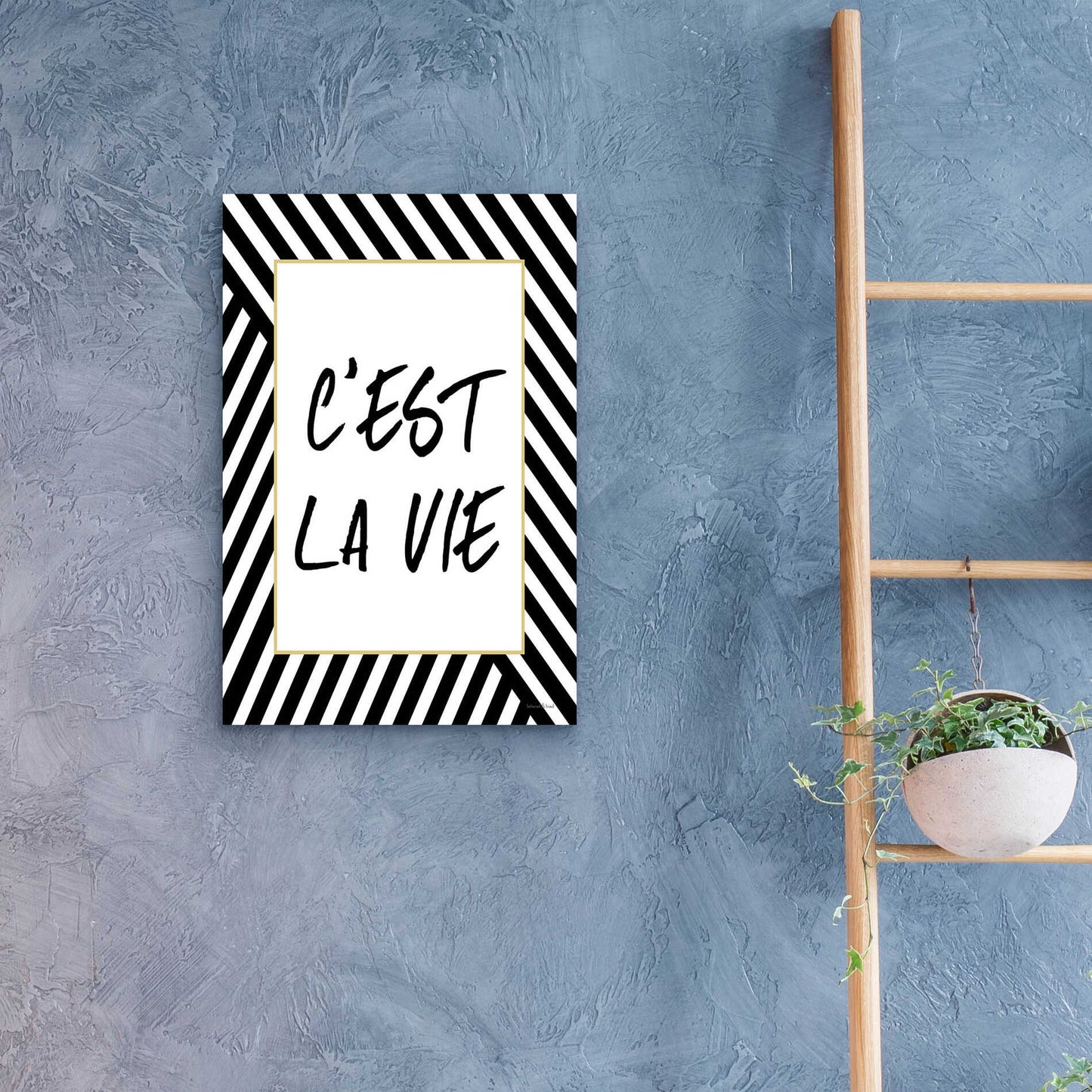 Epic Art 'C'Est La Vie' by Lettered & Lined, Acrylic Glass Wall Art,16x24