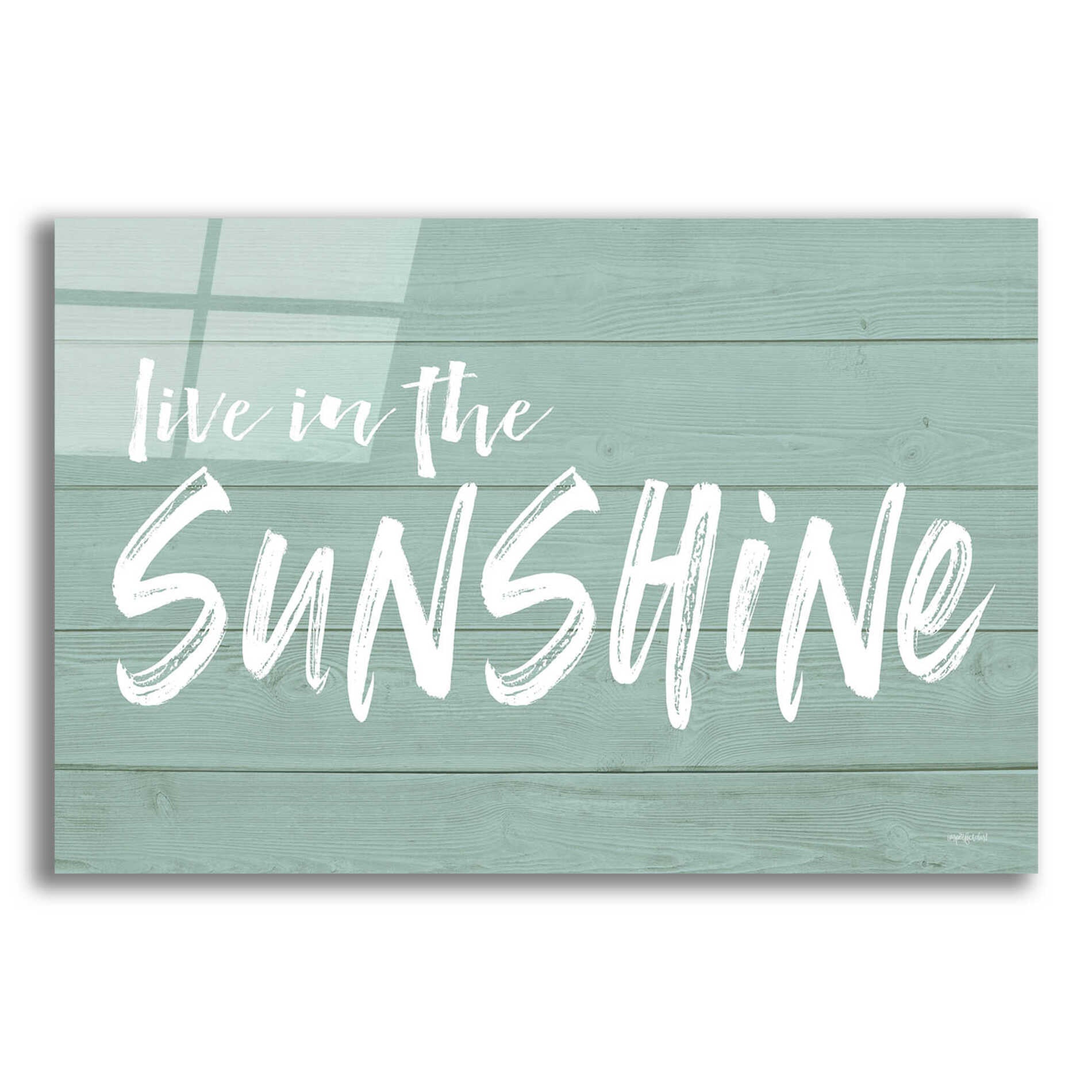 Epic Art 'Live In The Sunshine' by Lettered & Lined, Acrylic Glass Wall Art,16x12