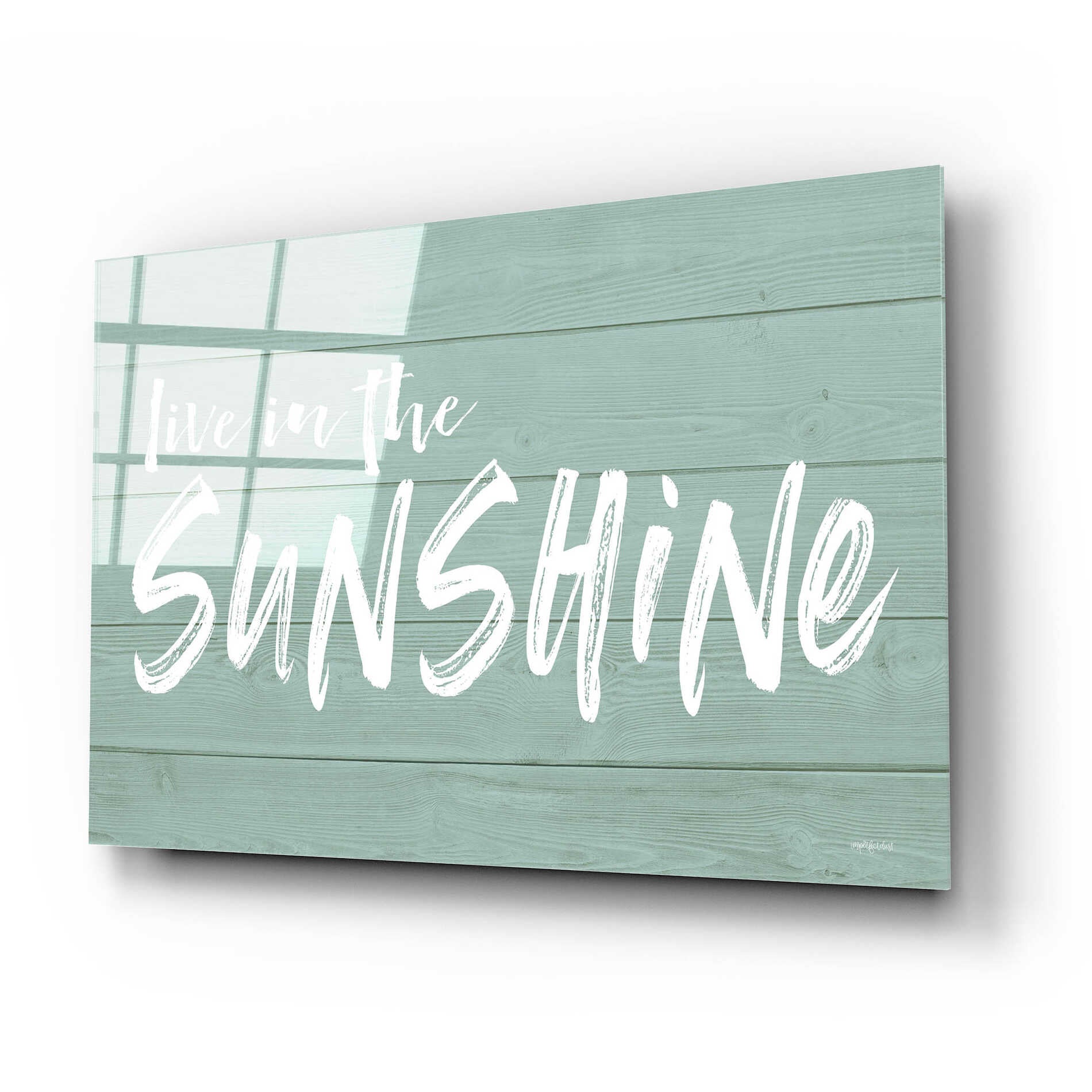 Epic Art 'Live In The Sunshine' by Lettered & Lined, Acrylic Glass Wall Art,24x16