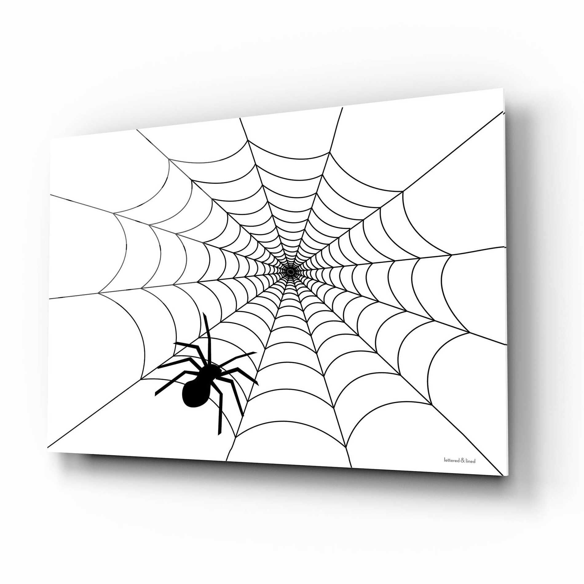 Epic Art 'Spider Web I' by Lettered & Lined, Acrylic Glass Wall Art,16x12