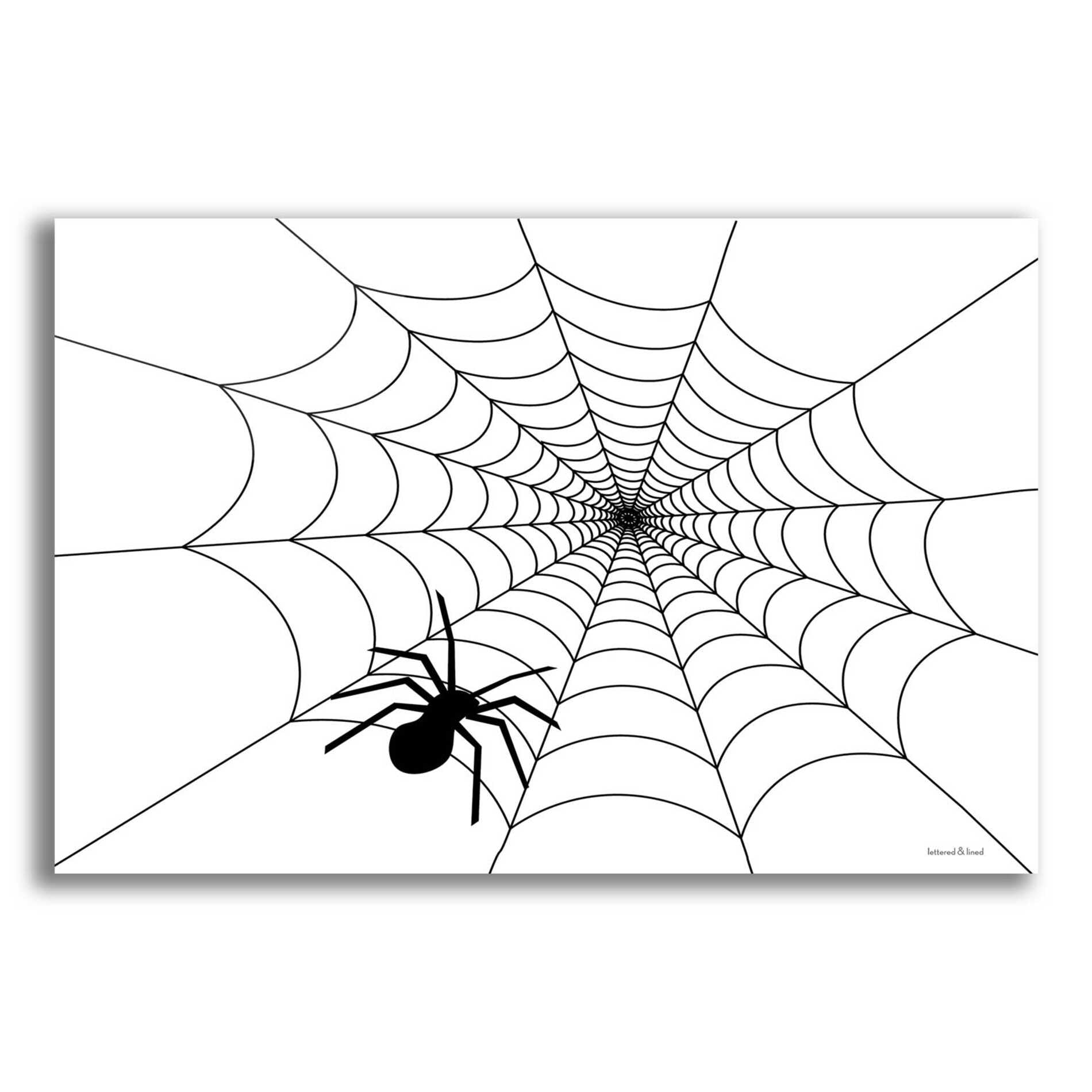 Epic Art 'Spider Web I' by Lettered & Lined, Acrylic Glass Wall Art,16x12