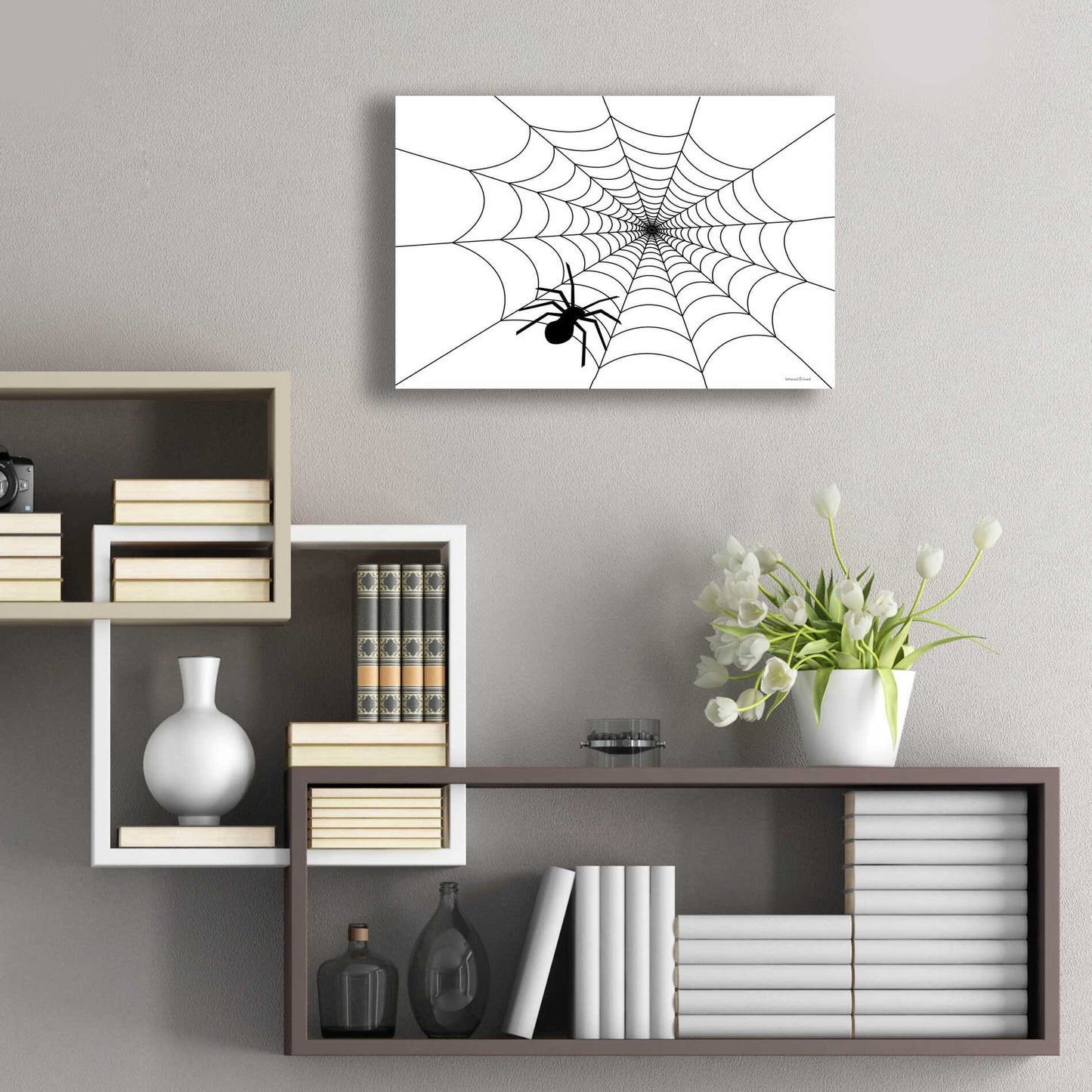 Epic Art 'Spider Web I' by Lettered & Lined, Acrylic Glass Wall Art,24x16