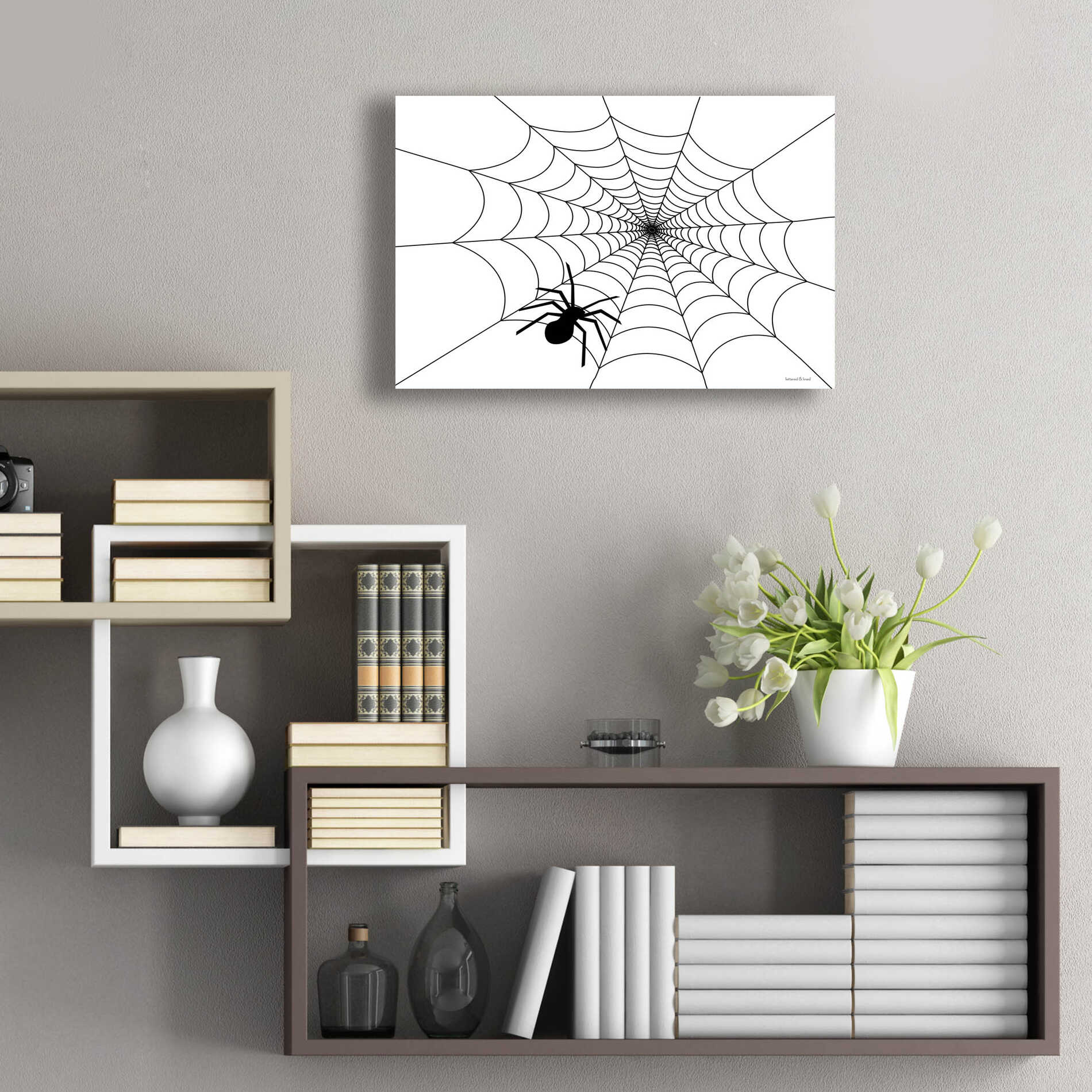 Epic Art 'Spider Web I' by Lettered & Lined, Acrylic Glass Wall Art,24x16