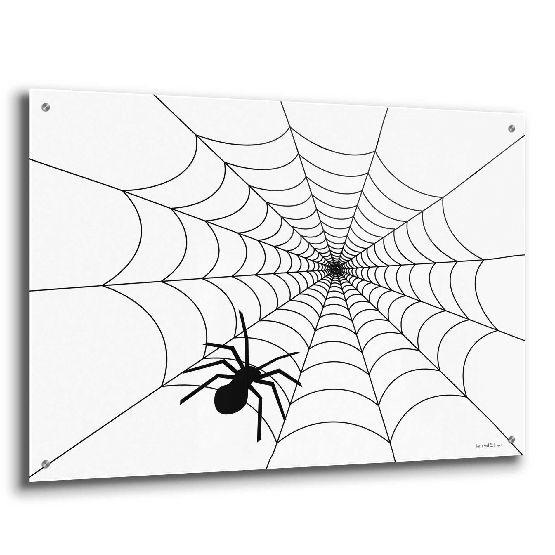 Epic Art 'Spider Web I' by Lettered & Lined, Acrylic Glass Wall Art,36x24