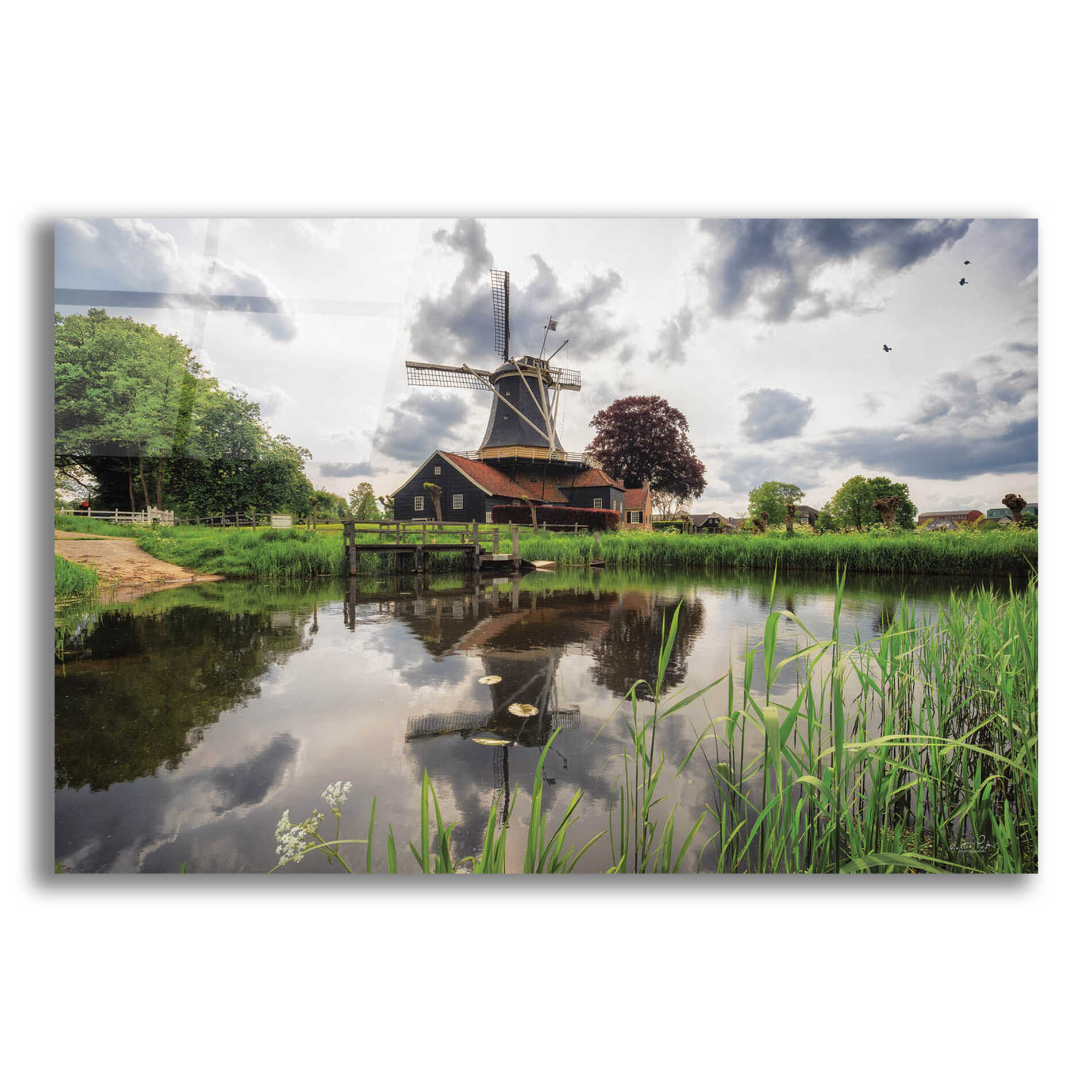 Epic Art 'Beauty in the Sky' by Martin Podt, Acrylic Glass Wall Art